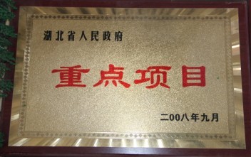 省政府重点项目